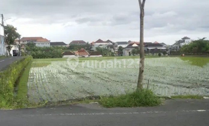 For Rent 10 Are SHM Land in Canggu-Padonan For Rent 10 Are SHM Land in Canggu-Padonan