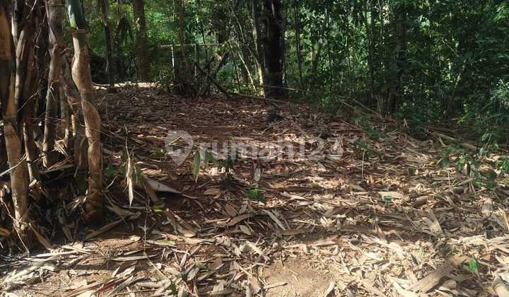 Disewakan Tanah 9 Are Shm Di Buwit Los Sungai