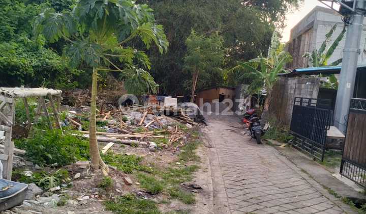 For Rent 7 Are Land with SHM in Tumbakbayuh, Pererenan For Rent 7 Are Land with SHM in Tumbakbayuh, Pererenan