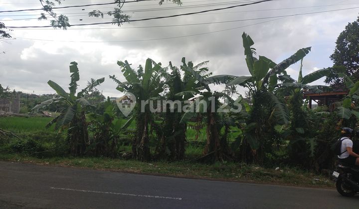 Land for Rent 22 Are SHM in Seseh - Beach