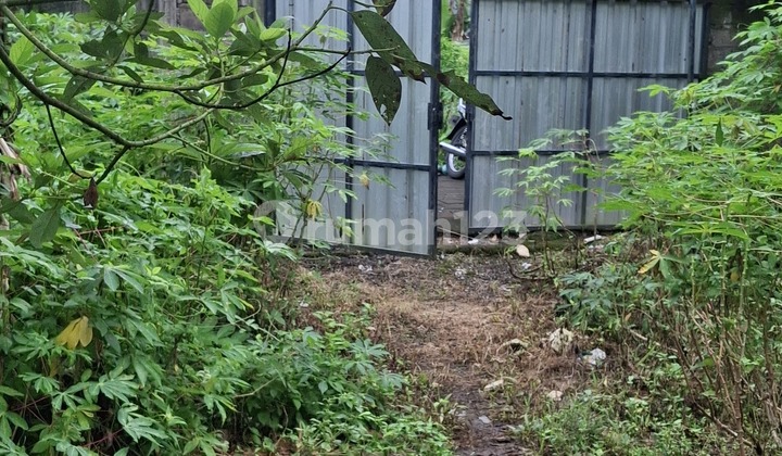 For Rent 10 Are Land.shm Abianbase......