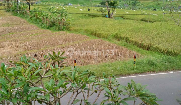Rent Ruko 2 Lantai Pinggir Jalan Utama Munggu 4