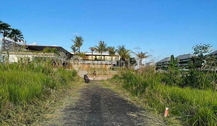 Tanah 200 meter dari Pantai pererenan 4 are SHM  2