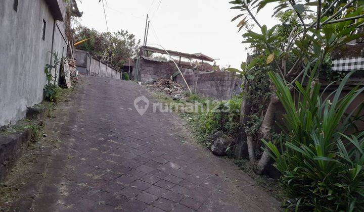 Tanah 2 are Canggu buduk area yellow zone 2