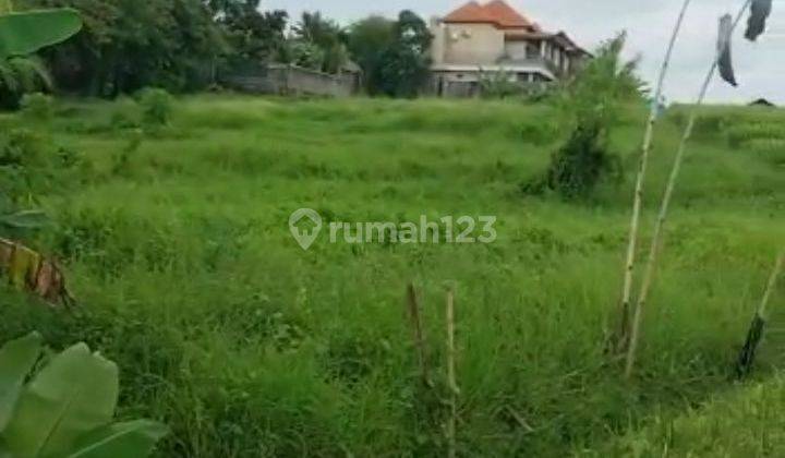Tanah sewa 10 are Canggu umacandi yellow zone 1
