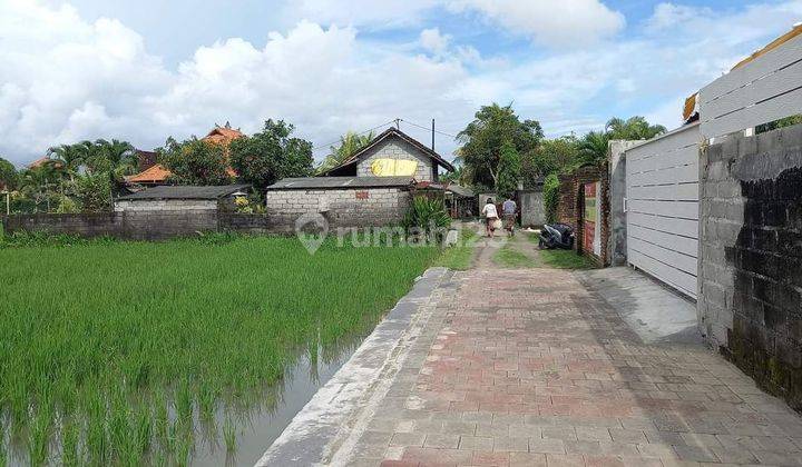 Rent new house pemaron Munggu luas 425 m2 1