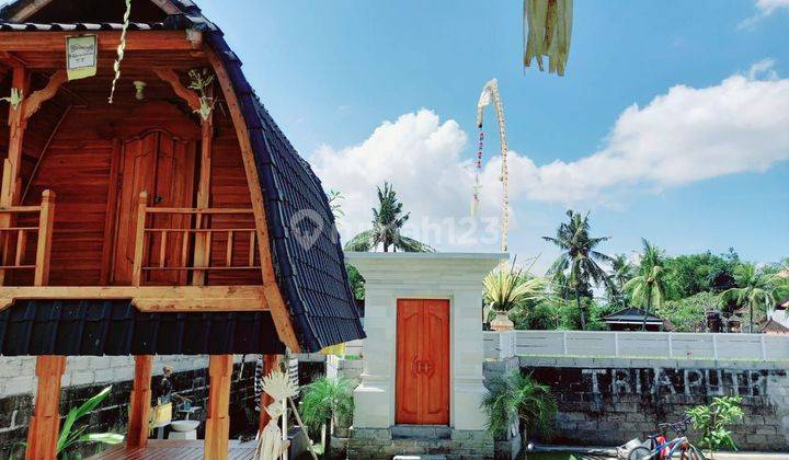 Rent new house pemaron Munggu luas 425 m2 2