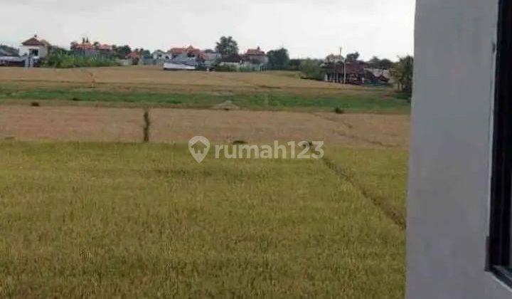 Rent house in buduk 2 floor. Dengan view sawah  2