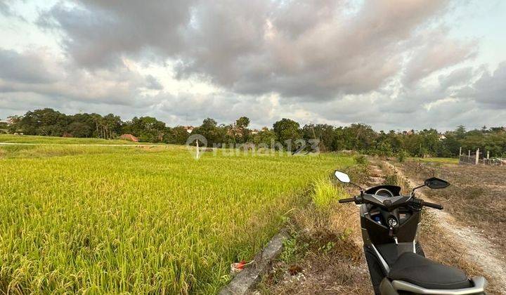 Land on Pererenan Jalan Pantai Lima 23 acres 1