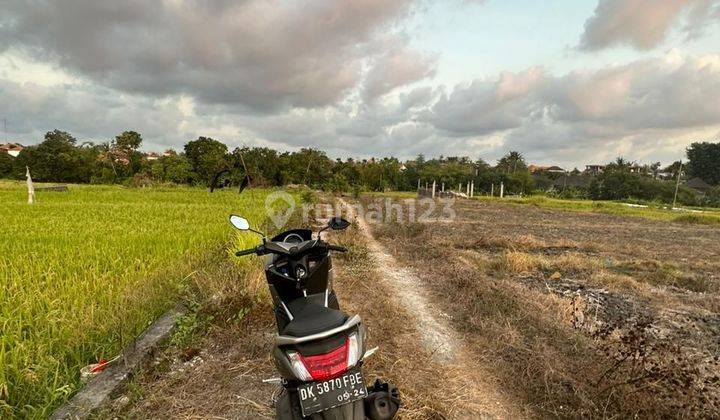 Land on Pererenan Jalan Pantai Lima 23 acres 2