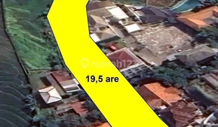 Land in Canggu - Aseman 19 are SHM yellow 1