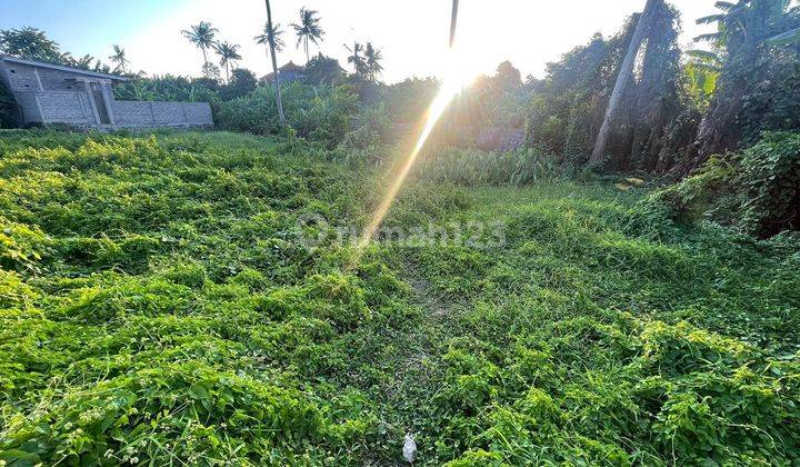 Land on Jln Kebon Buduk. 2.5 acres SHM yellow 1