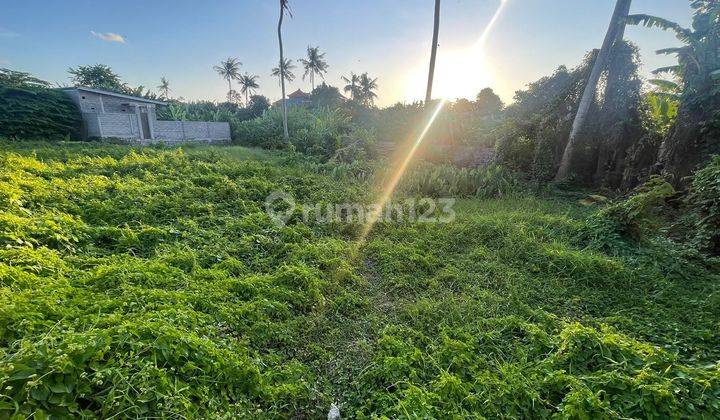 Land on Jln Kebon Buduk. 2.5 acres SHM yellow 2