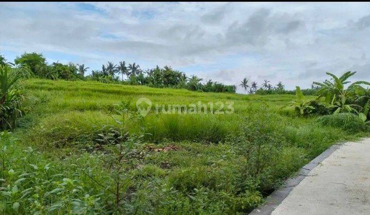 Land in Tumbakbayuh near Pererenan 18 are SHM 2