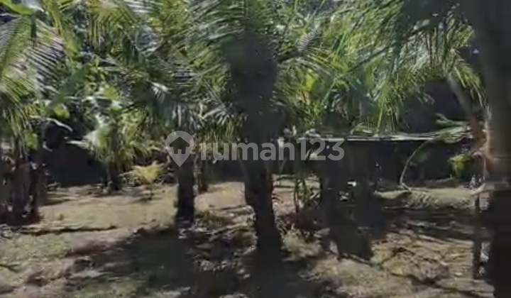 For Rent 10 Are Freehold Land in Kaba-Kaba..