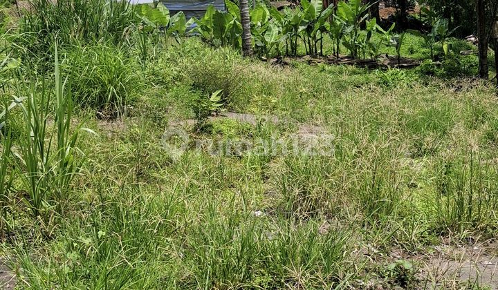 For Rent 10 Are Land with SHM in Cepaka ..... For Rent 10 Are Land with SHM in Cepaka .....