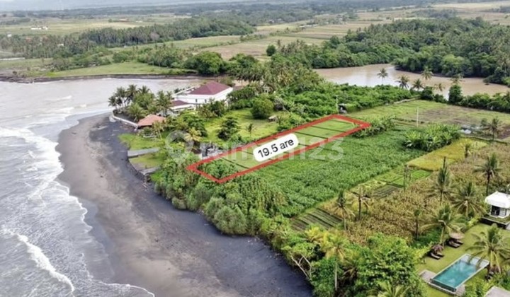 For Rent 19 Are SHM Land at Pasut Beach For Rent 19 Are SHM Land at Pasut Beach