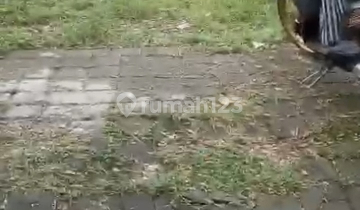 Disewakan Tanah 8.5 Are Shm Di Kerobokan