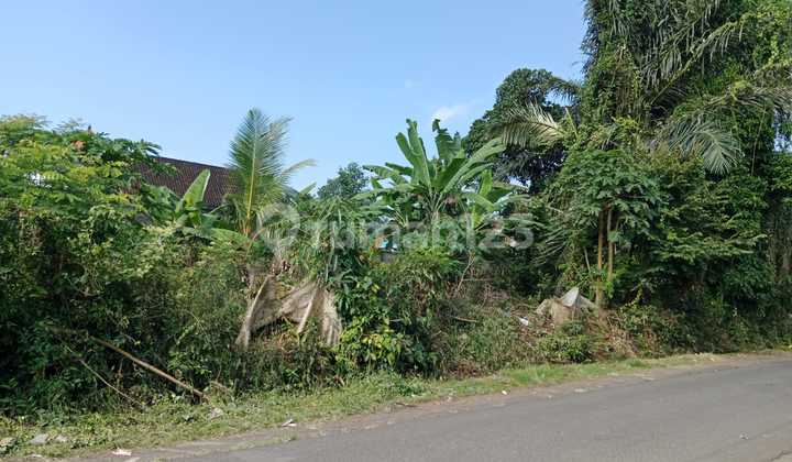 For Rent. 11 Are Land with SHM in Kaba-kaba... For Rent. 11 Are Land with SHM in Kaba-kaba...