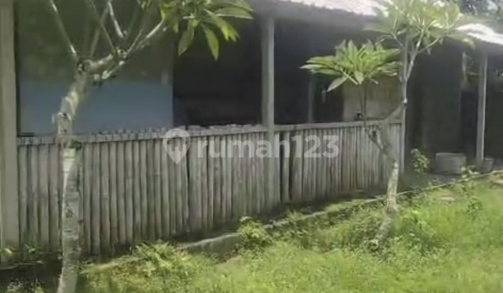 For Rent 2 Bedroom House with Shm in Cepaka....