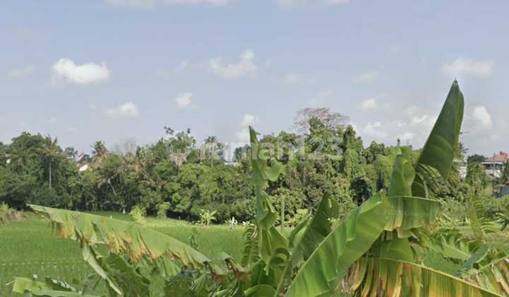 Disewakan.tanah 5 Are Shm.di Tumbakbayuh 