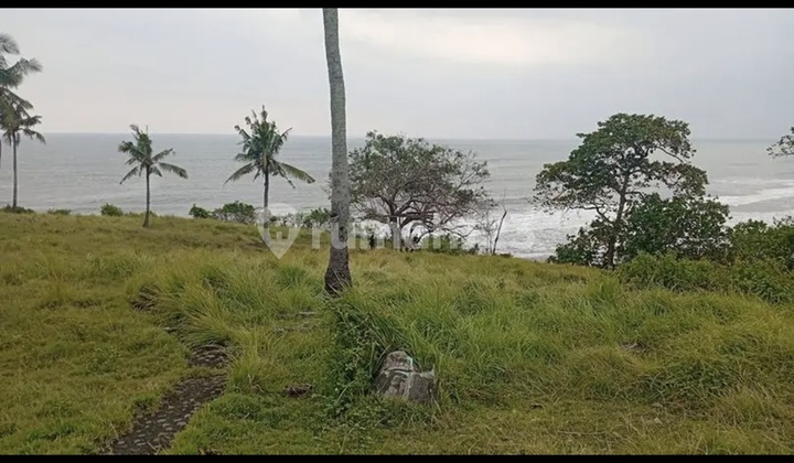 For Sale 1.6 Hectare Land in Tabanan Beachfront.