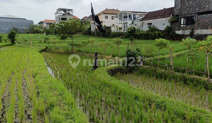 For Rent 11 Are SHM Land in Padonan - Canggu For Rent 11 Are SHM Land in Padonan - Canggu