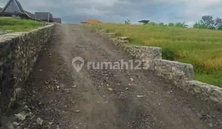 Disewakan Tanah 33 Are Shm Di Kaba-kaba.....