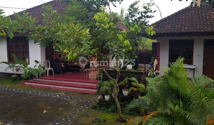 Rumah Kontrakan 6 Are Di Tibubeneng Shm Butuh Renovasi 1