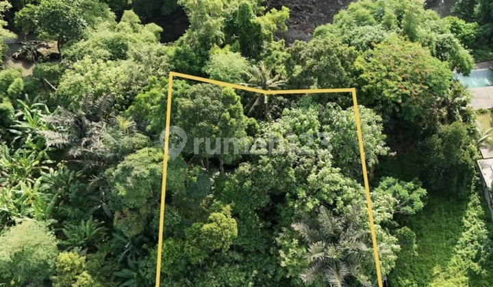 Disewakan Tanah 11 Are SHM di Kaba-Kaba...