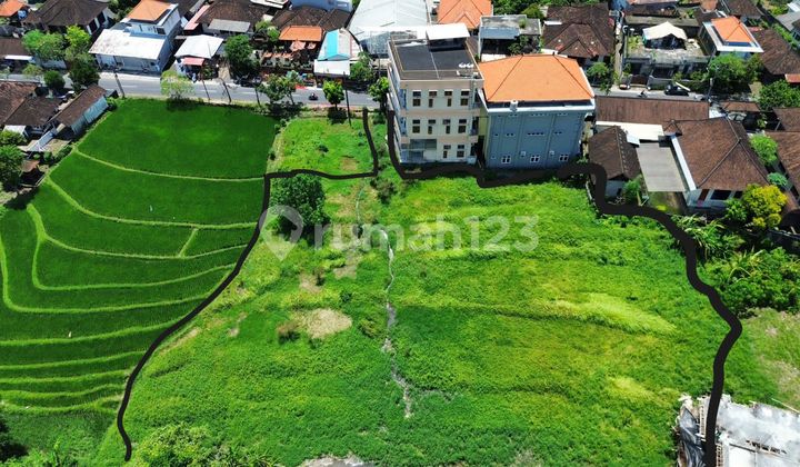 Land For Rent 34 Are Freehold at Padonan-Canggu
