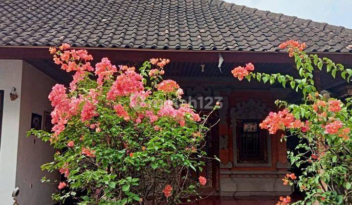 Dijual Rumah 7 Are Shm Di Cepaka - Munggu 1