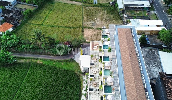 Disewakan Tanah 16 Are Shm Di Tumbak-bayuh