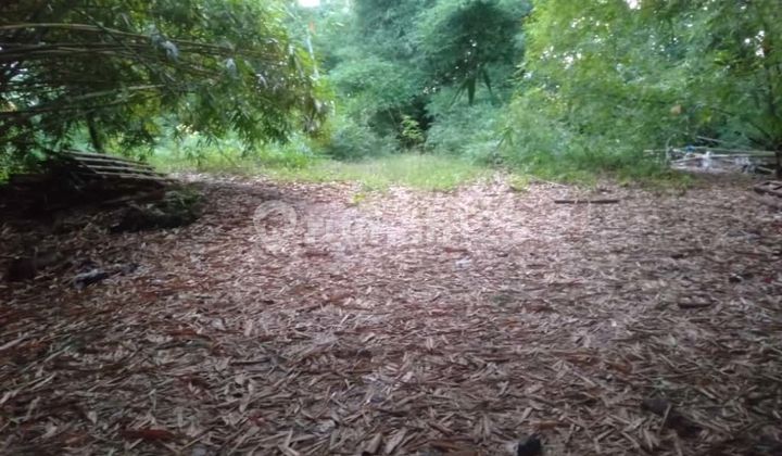 For Rent Land 27 Are Shm In Beraban...