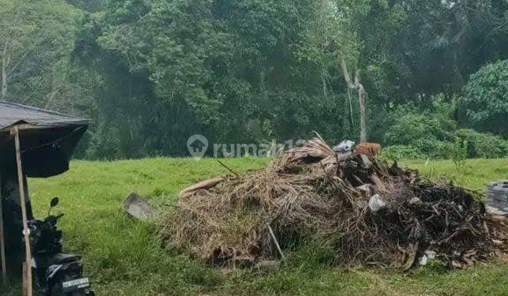 Tanah 1 Hektar Di Cepaka - Kaba2 Zona Kuning 2