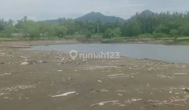 Tanah 3 Hektar Di Melaya Beach, SHM - SHM 1