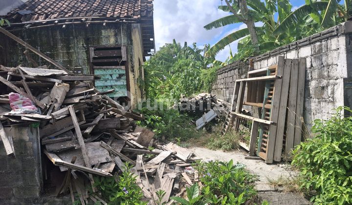 Disewakan Tanah 26 Are Shm Di Padonan- Canggu Disewakan Tanah 26 Are Shm Di Padonan- Canggu