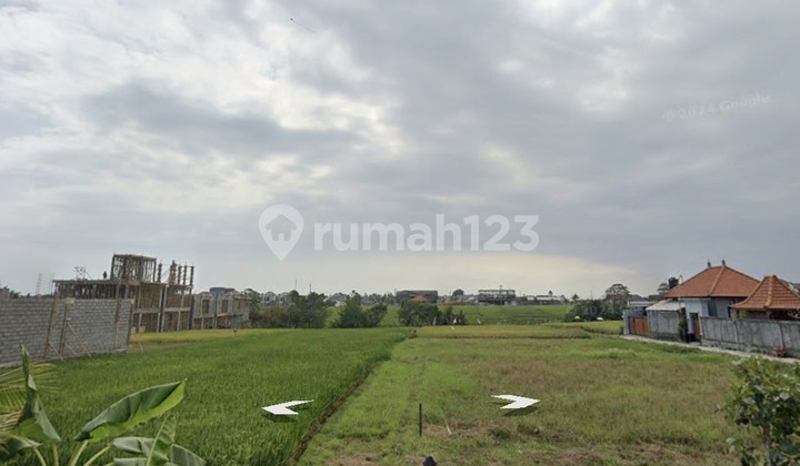 Disewakan Tanah 11 Are Shm Di Seseh -.beach