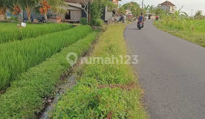 Tanah Pinggir Jaln Utama Kaba2 29 Are Yellow Zone