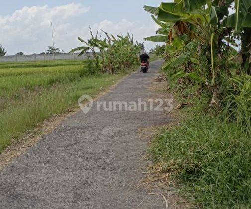 Land 1.44 hectares SHM Beach Front Pasut 2