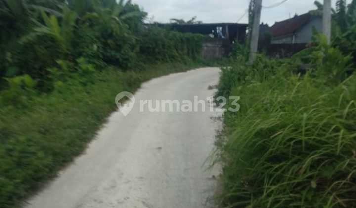 Dijual Tanah 19.are.shm.di Beraban- Nyayi