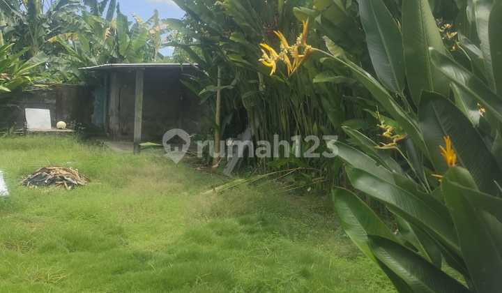 For Rent 2 Bedroom House with Shm in Cepaka....