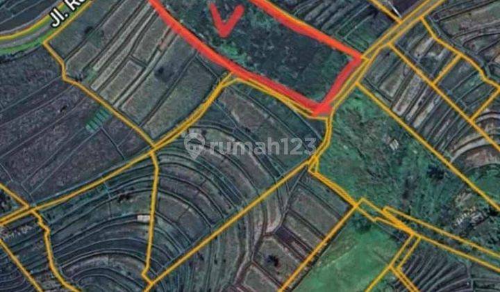 Dijual Tanah 28 Are Main Road Kaba2. Yellow 1