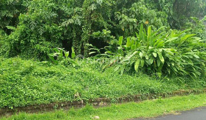 Tanah 26.5 Di Nyambu, Kaba Kaba Sertifikat Hak Milik 1