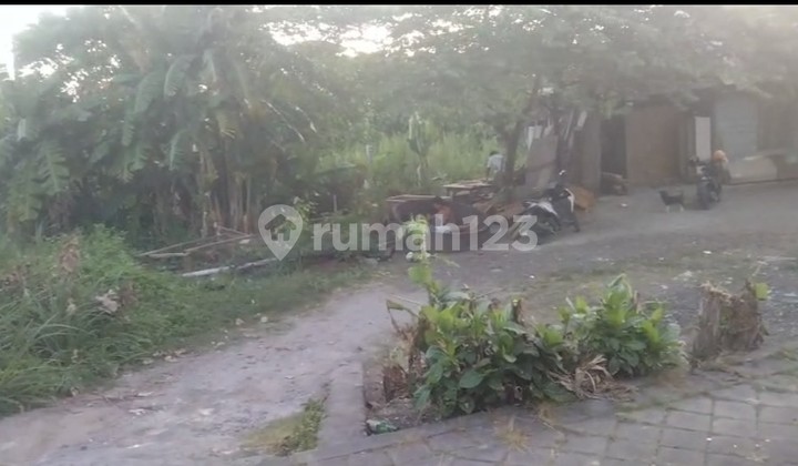 Disewakan Tanah 3 Are Shm Di Canggu - Tuka