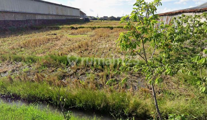 Dijual Tanah 21 Are Shm Di Buduk-cica