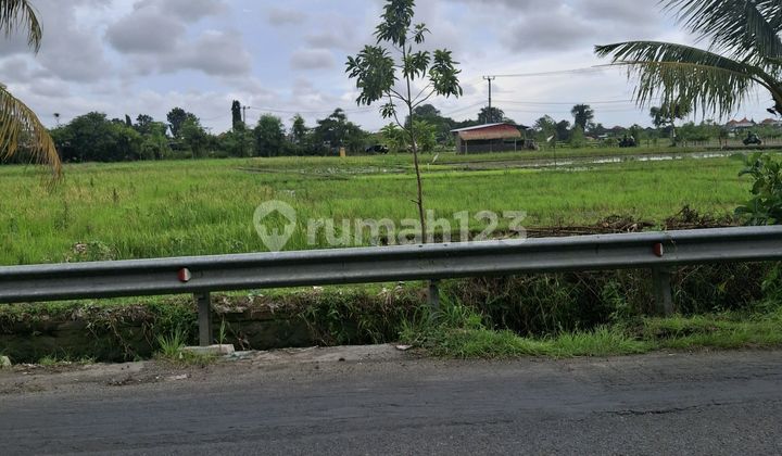 For Lease 13 Are SHM Land on Munggu-Kapal Main Road
