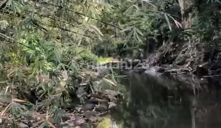 Land for rent 17 are SHM Buwit Yellow