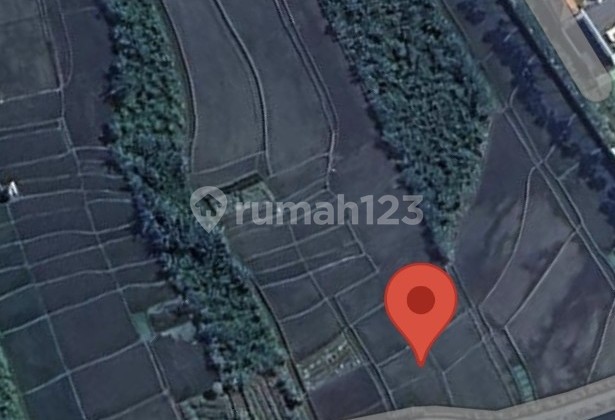 For Rent 10 Are Land with Certificate in Tumbak-bayuh