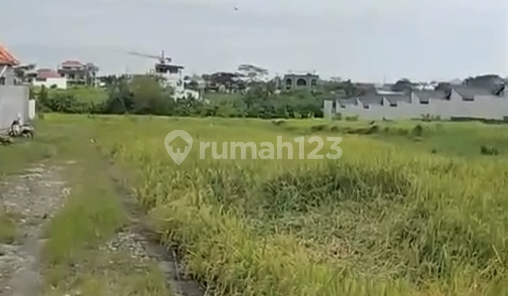 Disewakan Tanah di Seseh SHM 6 Are......